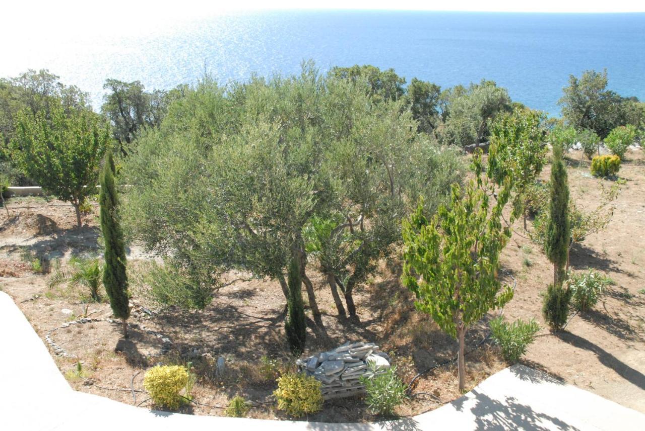 Appartement Vue Sur Mer Santa-Maria-di-Lota Eksteriør bilde