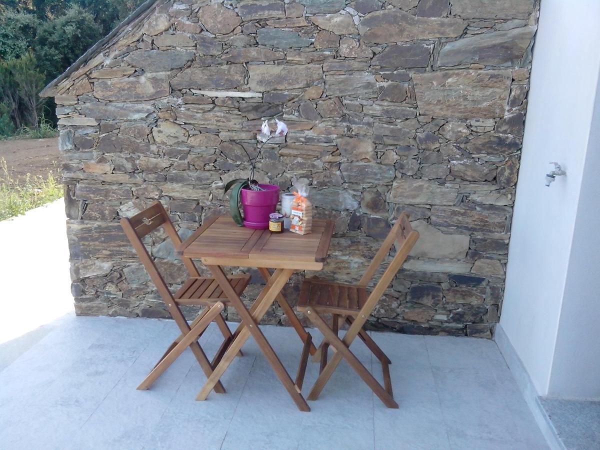Appartement Vue Sur Mer Santa-Maria-di-Lota Eksteriør bilde