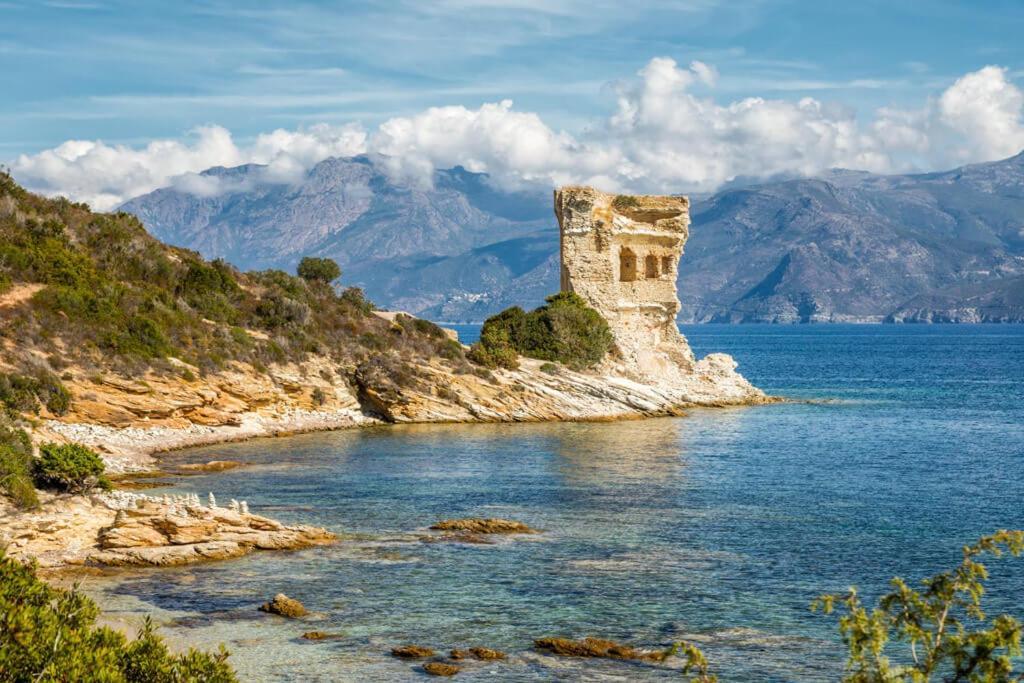 Appartement Vue Sur Mer Santa-Maria-di-Lota Eksteriør bilde