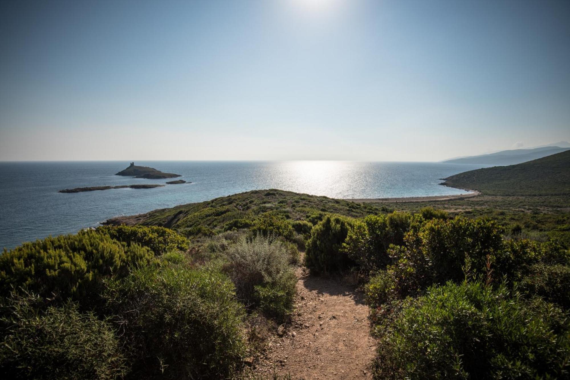 Appartement Vue Sur Mer Santa-Maria-di-Lota Eksteriør bilde
