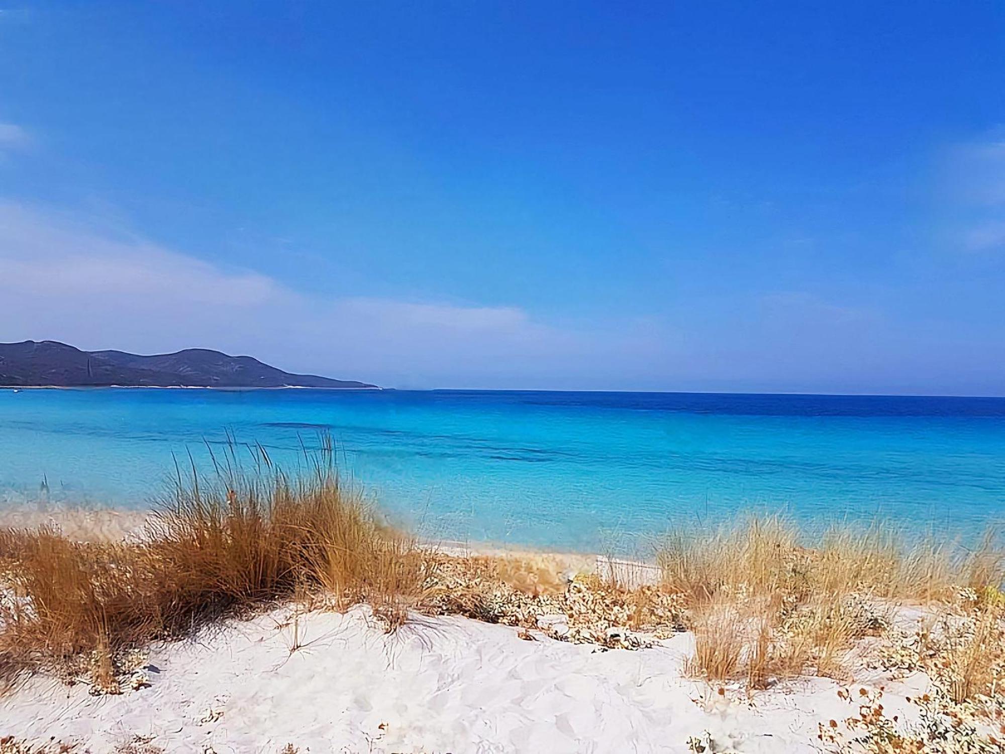Appartement Vue Sur Mer Santa-Maria-di-Lota Eksteriør bilde